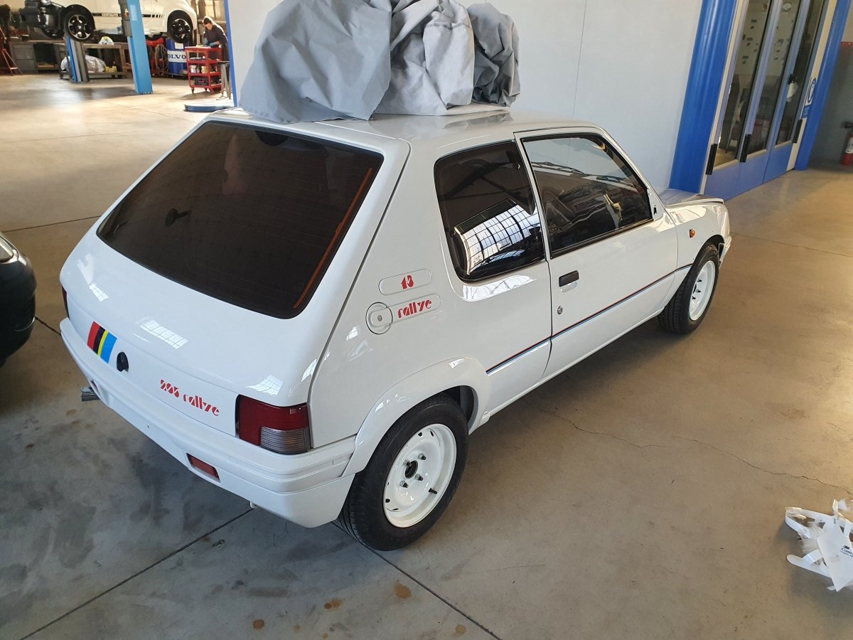Peugeot 205 1.3 Rallye Livery - Giacomo Baj