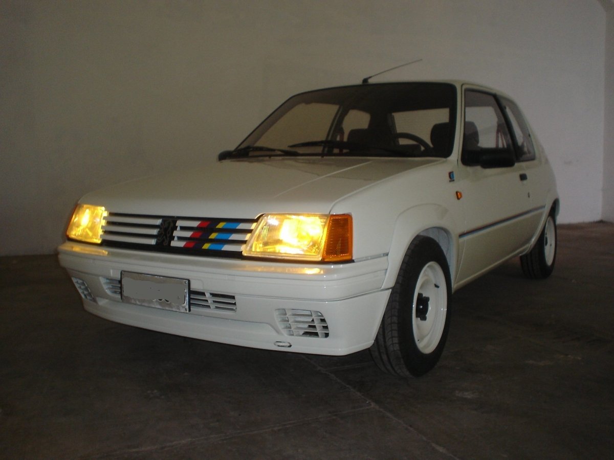 Peugeot 205 1.3 Rallye Livery - Giacomo Baj