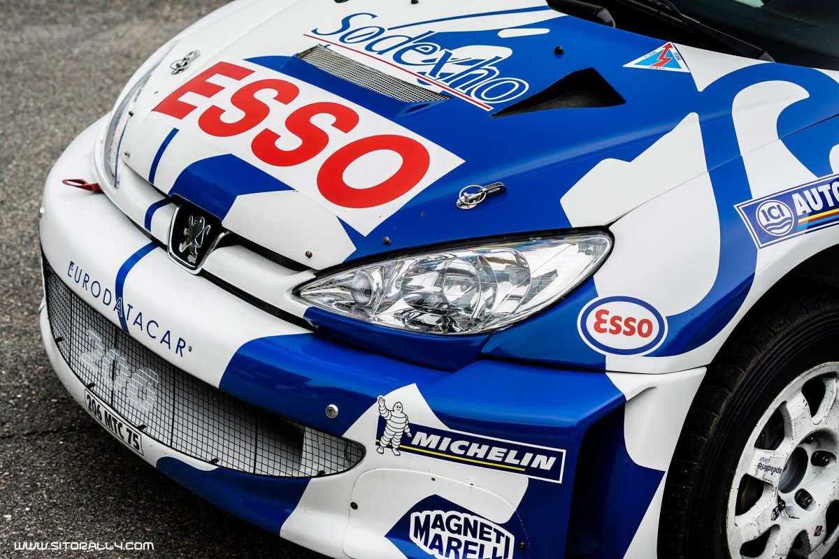 Peugeot 206 WRC Network Q Rally 1999 Livery - Giacomo Baj