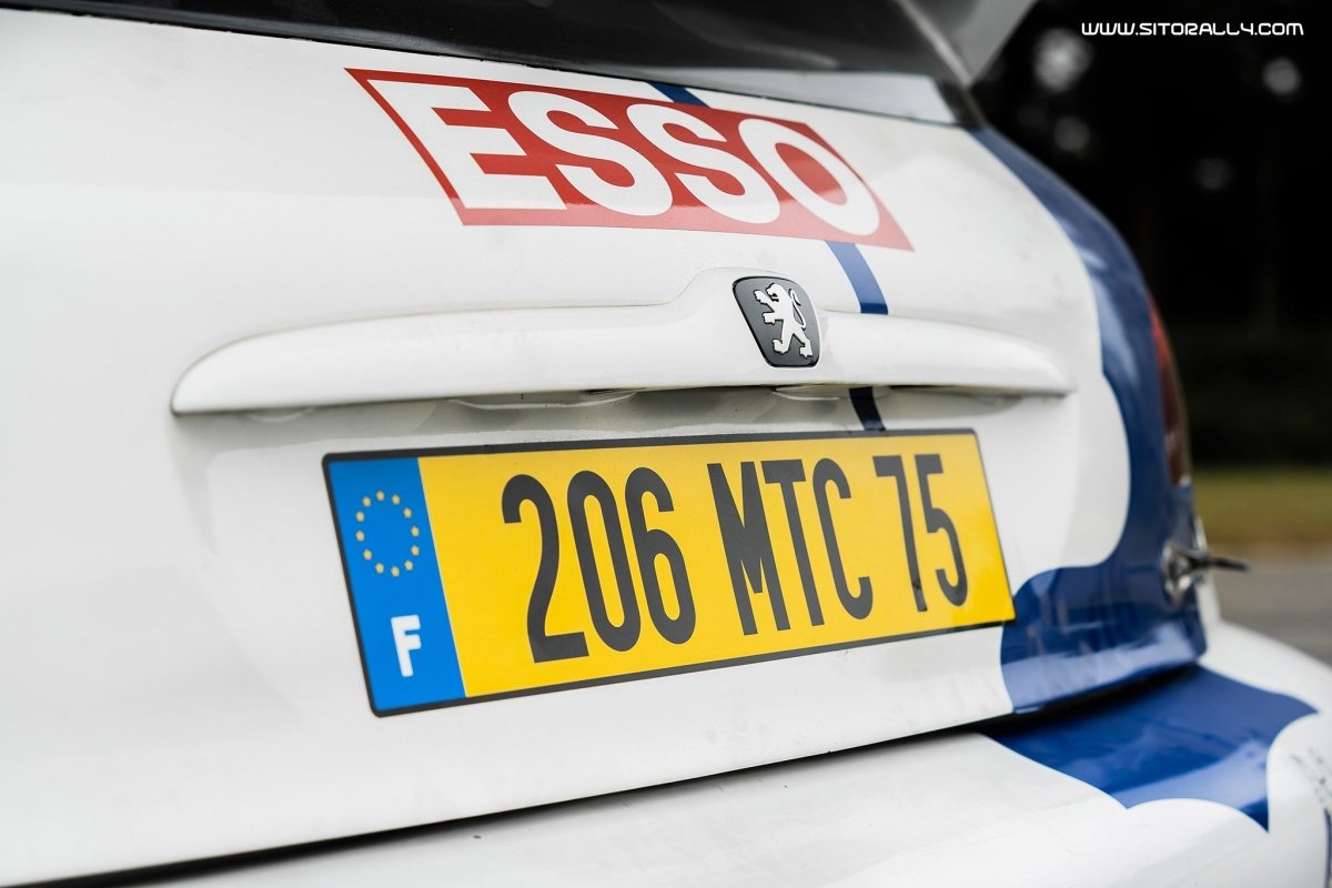 Peugeot 206 WRC Network Q Rally 1999 Livery - Giacomo Baj