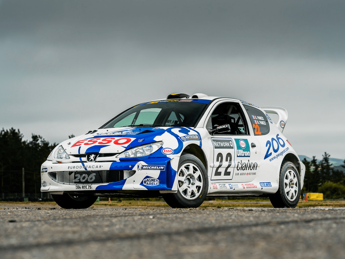 Peugeot 206 WRC Network Q Rally 1999 Livery - Giacomo Baj