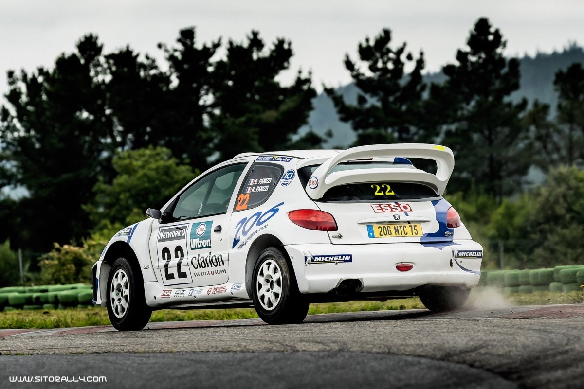 Peugeot 206 WRC Network Q Rally 1999 Livery - Giacomo Baj