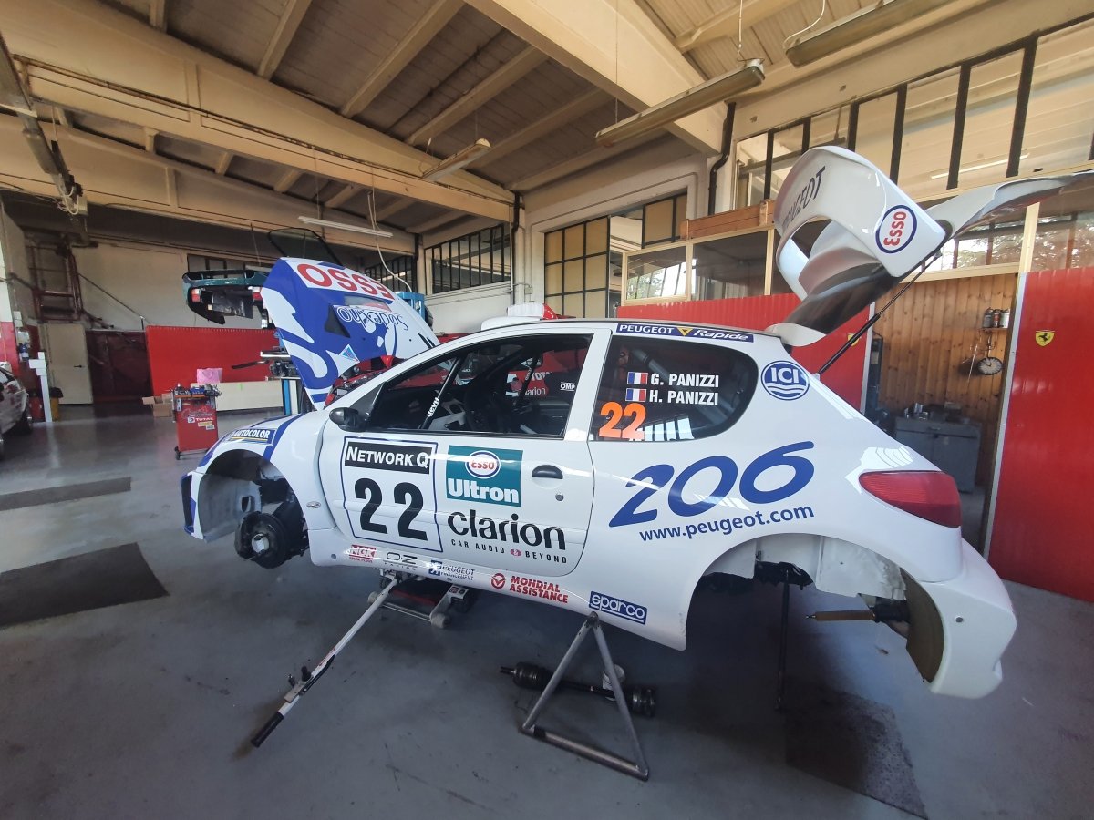 Peugeot 206 WRC Network Q Rally 1999 Livery - Giacomo Baj