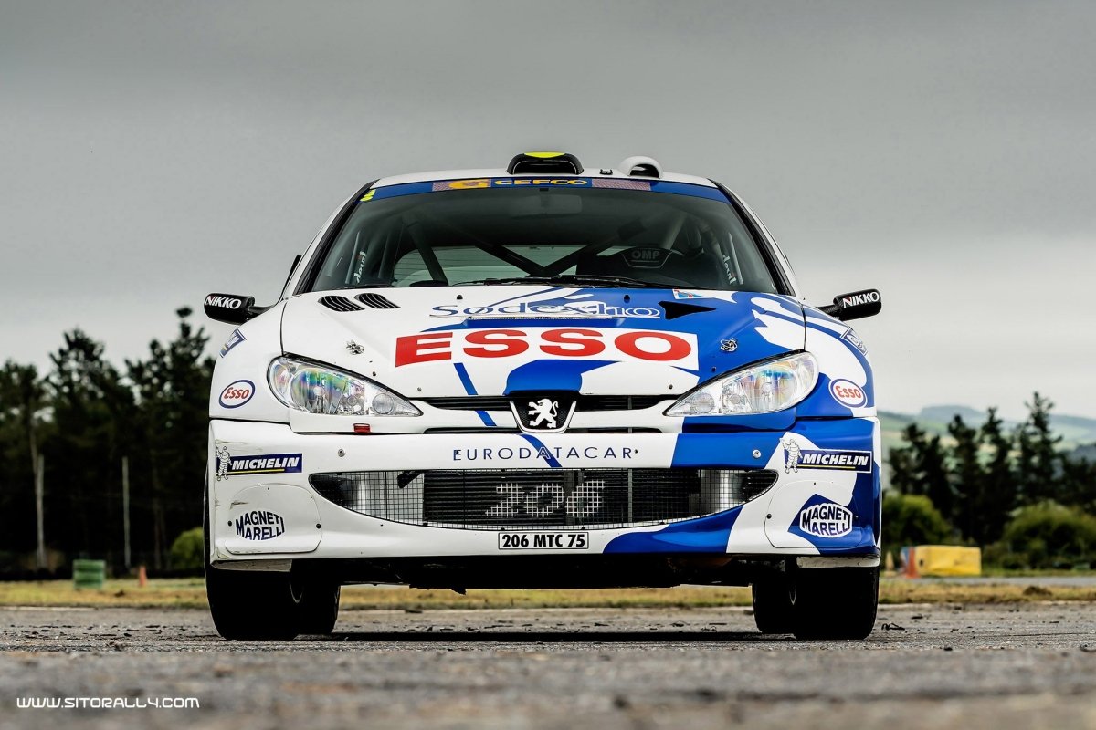 Peugeot 206 WRC Network Q Rally 1999 Livery - Giacomo Baj