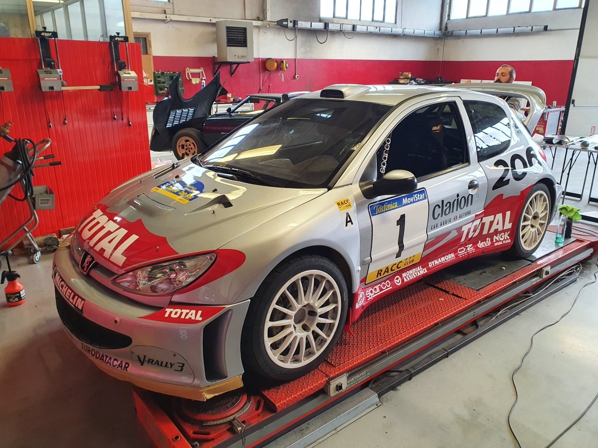 Peugeot 206 WRC Rallye de Espana 2002 Livery - Giacomo Baj