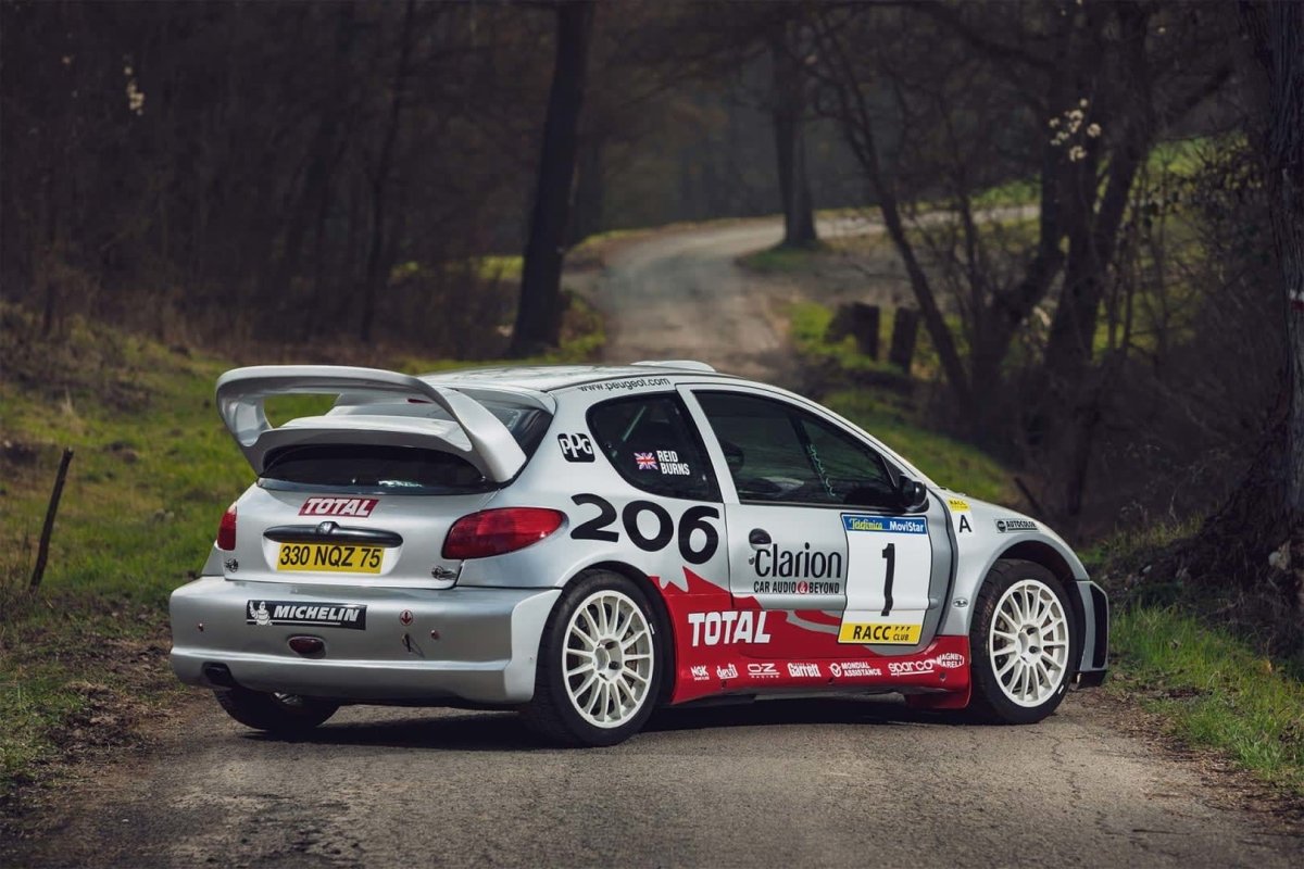 Peugeot 206 WRC Rallye de Espana 2002 Livery - Giacomo Baj