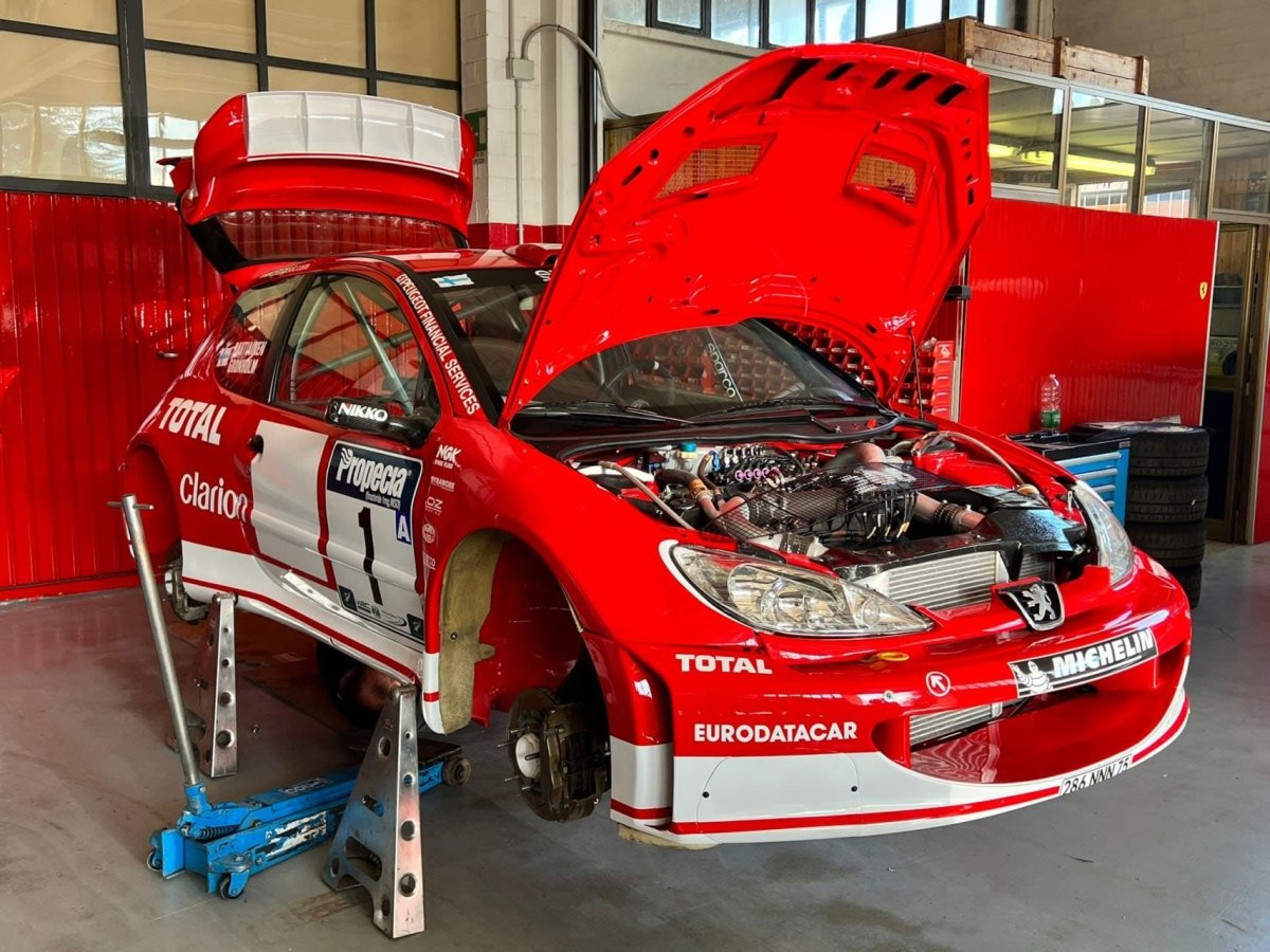 Peugeot 206 WRC Rallye New Zealand 2003 Livery - Giacomo Baj