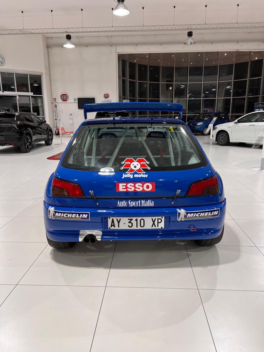 Peugeot 306 Maxi Rally Città di Torino 1999 Livery - Giacomo Baj