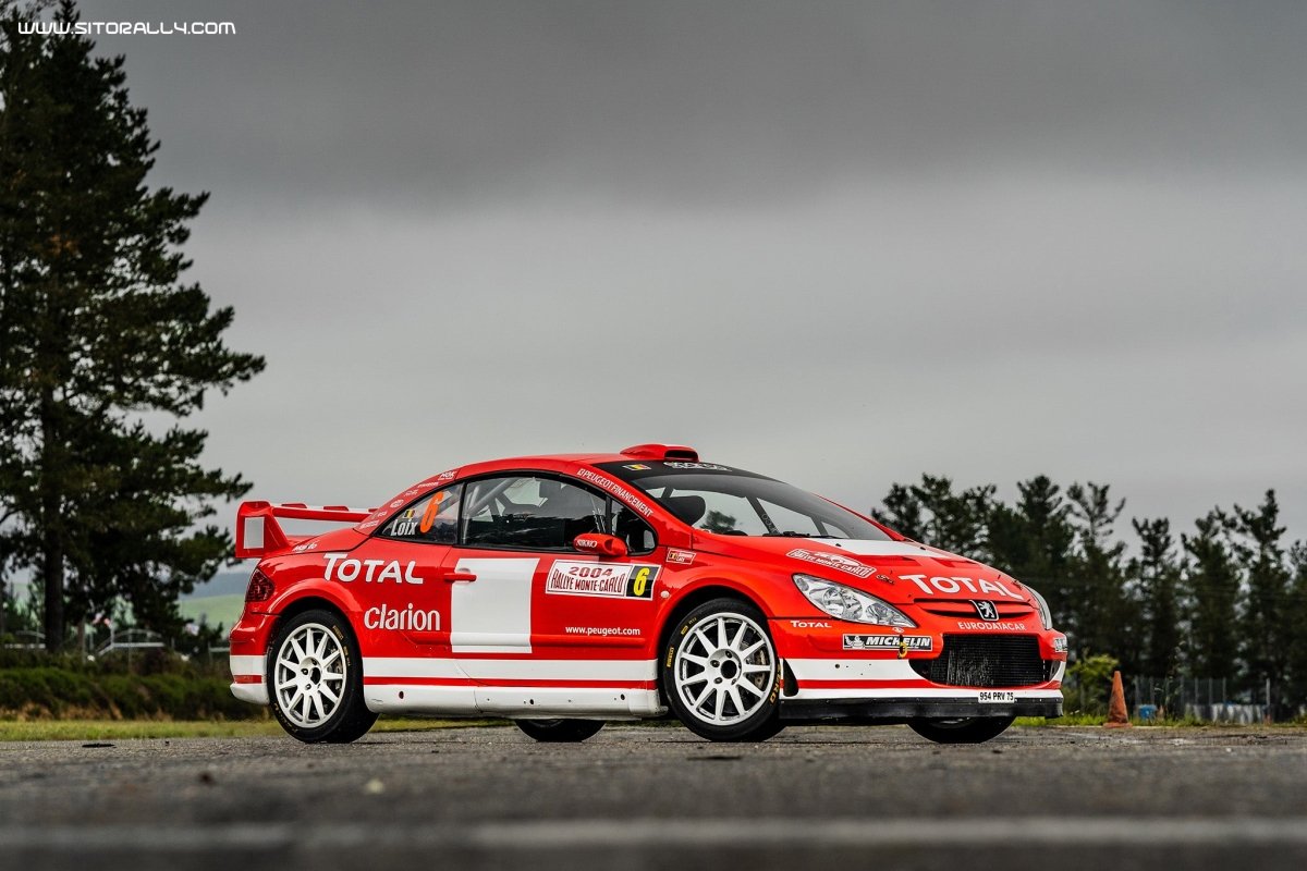 Peugeot 307 WRC Livery - Giacomo Baj