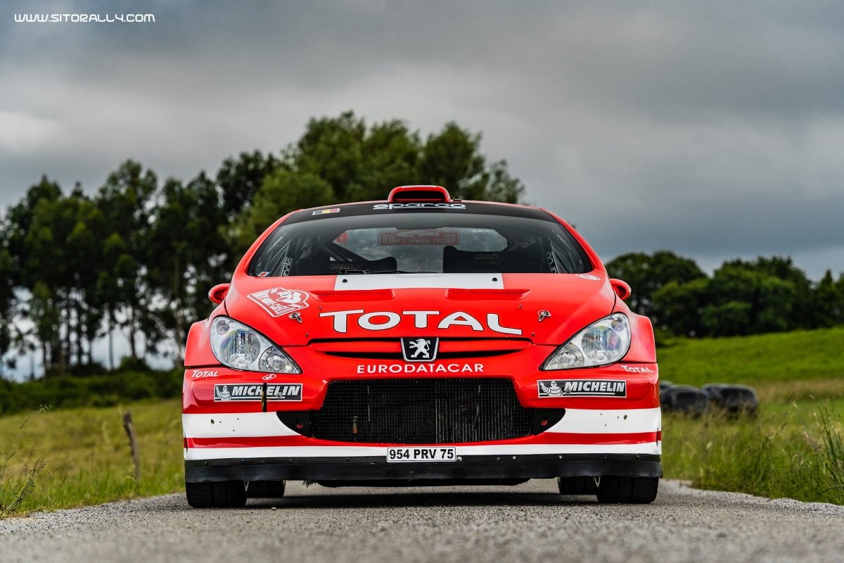 Peugeot 307 WRC Livery - Giacomo Baj