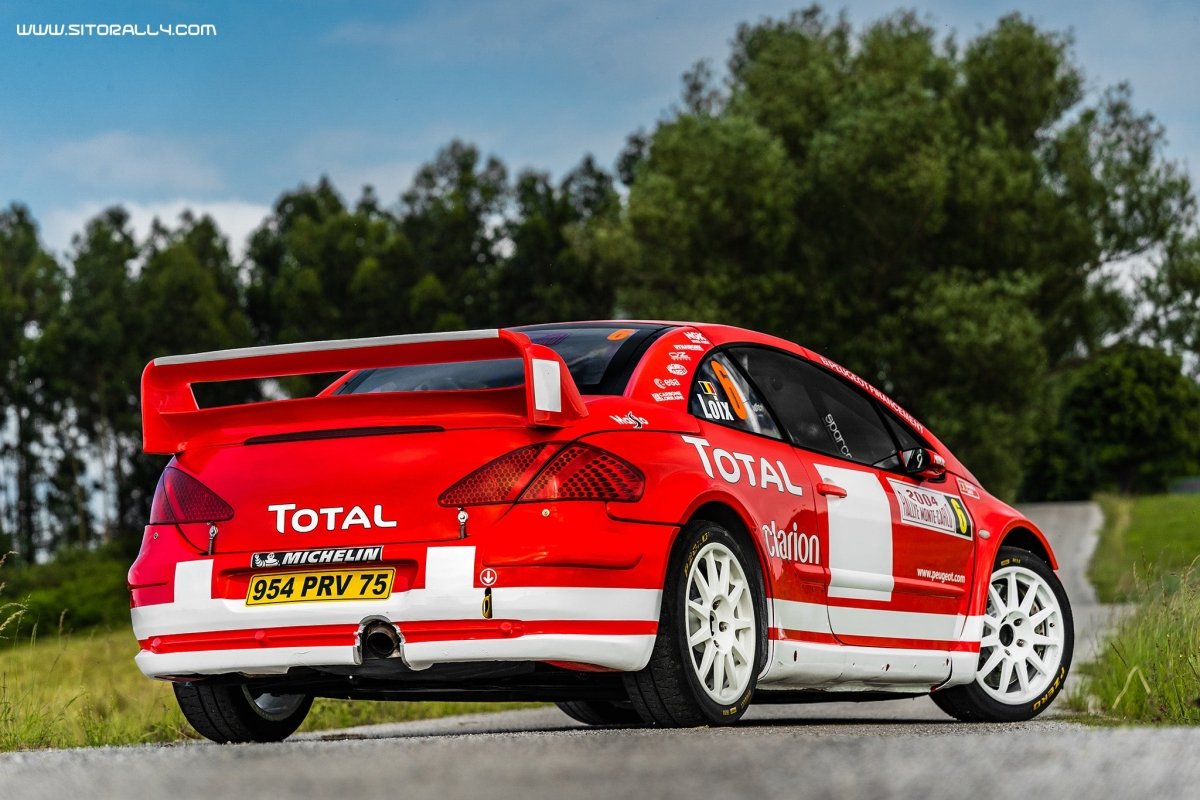 Peugeot 307 WRC Livery - Giacomo Baj