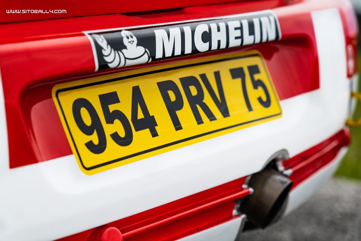 Peugeot 307 WRC Livery - Giacomo Baj